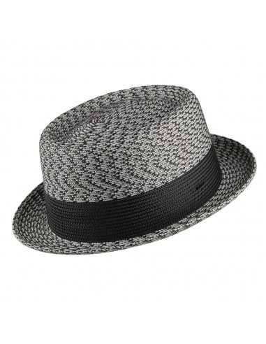 Chapeau Pork Pie Telemannes anthracite-multi BAILEY pas cher 