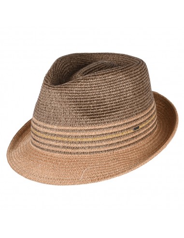 Chapeau Trilby en Paille Toyo Hooper marron-multicolore BAILEY plus qu'un jeu 